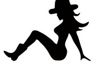 mudflap